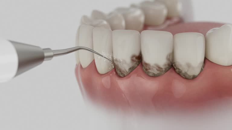 Reliable Dental contractor in Lambertville, NJ by Dentist Open Now